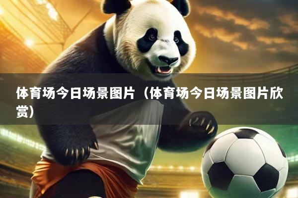 体育场今日场景图片(体育场今日场景图片欣赏)