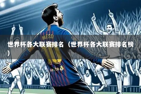 世界杯各大联赛排名(世界杯各大联赛排名榜)