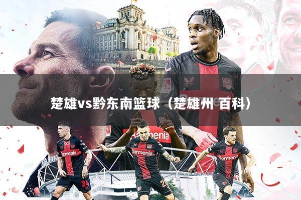 楚雄vs黔东南篮球（楚雄州 百科）