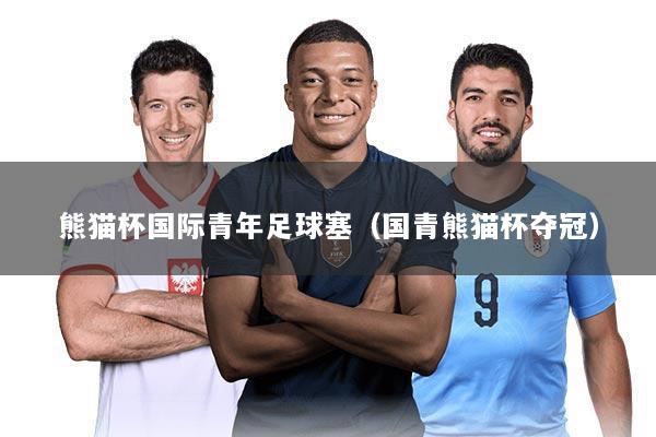 熊猫杯国际青年足球塞(国青熊猫杯夺冠)