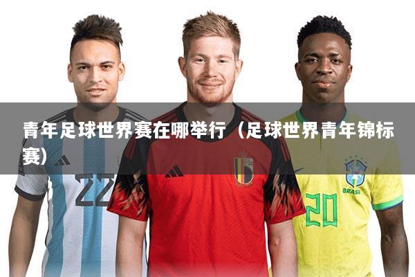 青年足球世界赛在哪举行(足球世界青年锦标赛)