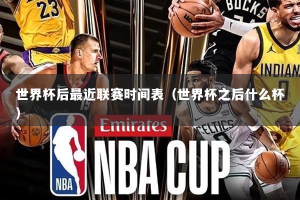 世界杯后最近联赛时间表（世界杯之后什么杯）